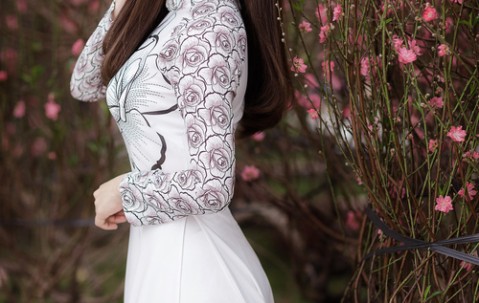 福州捐卵医院地址，捐卵试管医院名单附费用详情！