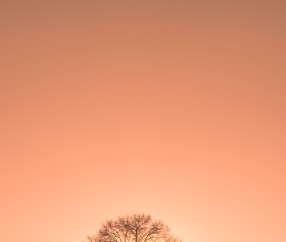 天津武警医院试管电话（天津武警医院试管电话号码）